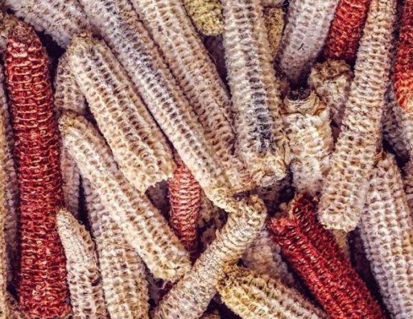 xr:d:DAFr6Zf3D7k:5,j:8837588562085031908,t:23081909